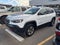 2019 Jeep Cherokee Trailhawk 4x4