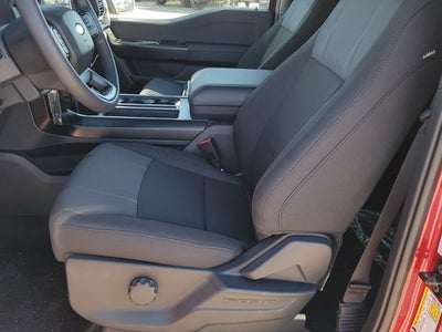 2026 Ford F-150 STX LOBO