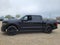 2026 Ford F-150 STX LOBO