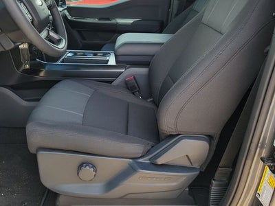 2026 Ford F-150 STX LOBO