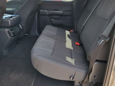 2026 Ford F-150 STX LOBO