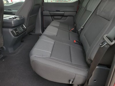 2026 Ford F-150 STX LOBO