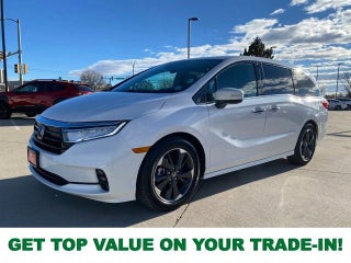 2024 Honda Odyssey Elite