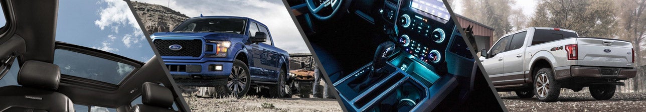 New 2019 Ford F-150 for Sale Loveland CO