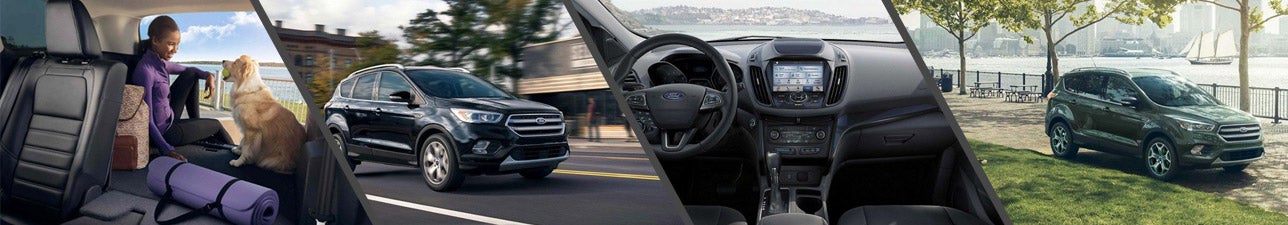 New 2019 Ford Escape for Sale Loveland CO