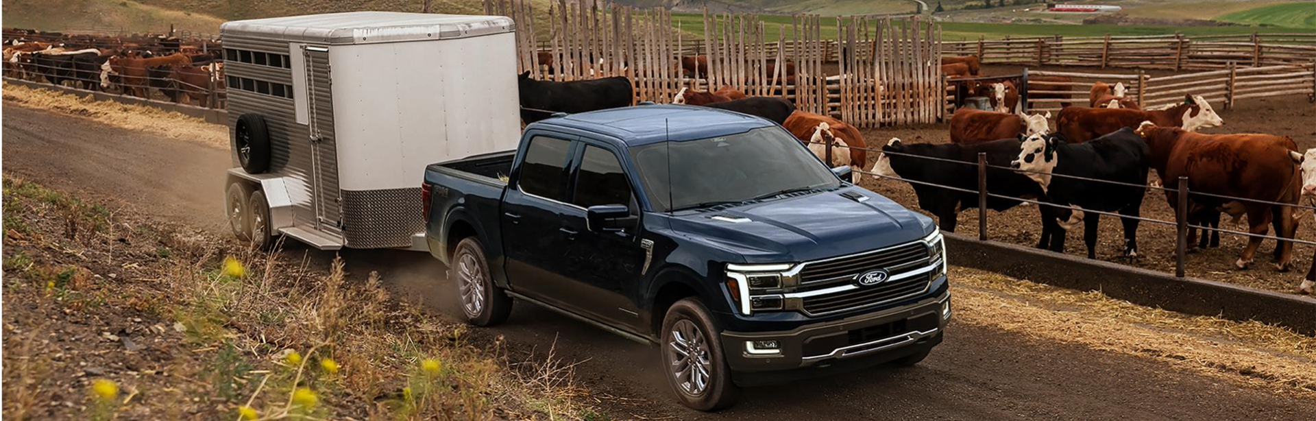 Top Ford MOdels